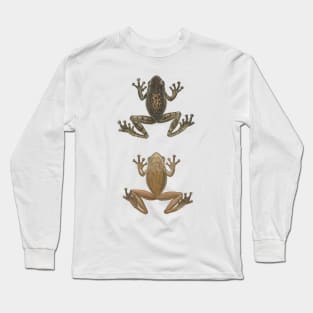 Cuban Tree Frog Vintage Antique Scientific Drawing Long Sleeve T-Shirt